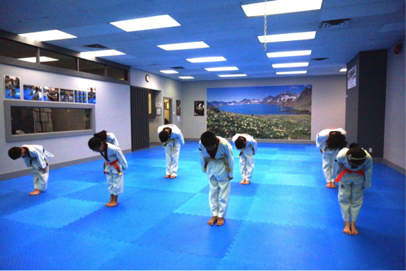 //ryustaekwondo.com/wp-content/uploads/2022/11/whatistkd_pic1.png