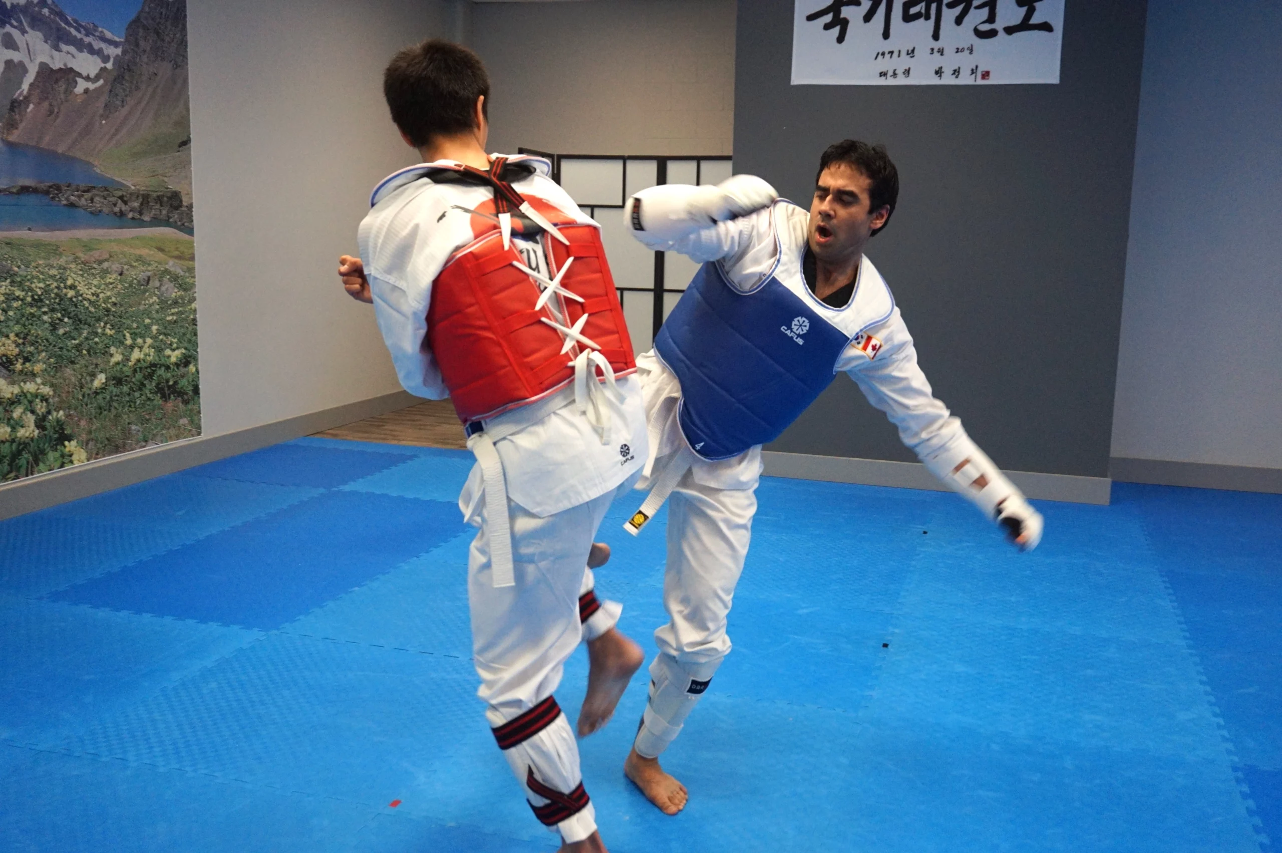 //ryustaekwondo.com/wp-content/uploads/2018/02/adult-scaled.webp